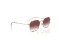 Ray-Ban Solglasögon RJ 9594S 291/8H