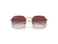 Ray-Ban Solglasögon RJ 9594S 291/8H
