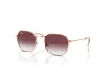 Ray-Ban Solglasögon RJ 9594S 291/8H