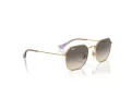 Ray-Ban Solglasögon RJ 9594S 292/11