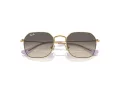 Ray-Ban Solglasögon RJ 9594S 292/11