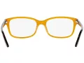 Ralph Lauren Glasögon RL 6062 5277