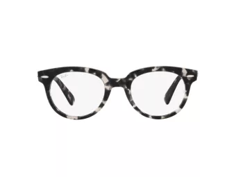 Ray-Ban Glasögon RX 2199V 8117
