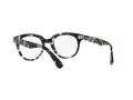 Ray-Ban Glasögon RX 2199V 8117