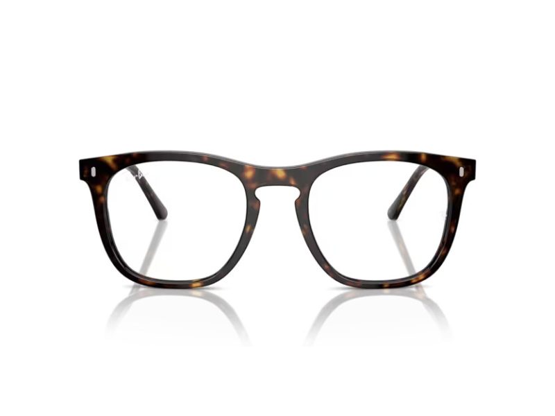 Ray-Ban Glasögon RX 2210V 2012