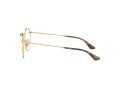 Ray-Ban Round Metal Glasögon RX 3447V 2500