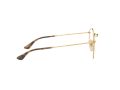 Ray-Ban Round Metal Glasögon RX 3447V 2500
