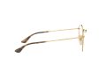 Ray-Ban Round Metal Glasögon RX 3447V 2945