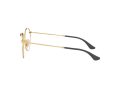 Ray-Ban Round Metal Glasögon RX 3447V 2991