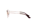 Ray-Ban Round Metal Glasögon RX 3447V 3094