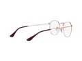 Ray-Ban Round Metal Glasögon RX 3447V 3094