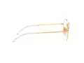 Ray-Ban David Glasögon RX 3582V 2500