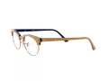 Ray-Ban Clubmaster Oval Glasögon RX 3946V 8051