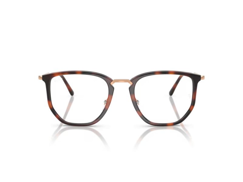 Ray-Ban Glasögon RX 4451V 5687