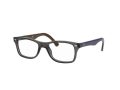 Ray-Ban Glasögon RX 5228 5546