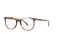 Ray-Ban Elliot Glasögon RX 5397 8173