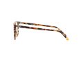 Ray-Ban Elliot Glasögon RX 5397 8173