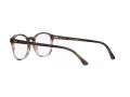 Ray-Ban Glasögon RX 5417 8251