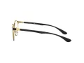 Ray-Ban Glasögon RX 6355 2994