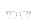 Ray-Ban Glasögon RX 6396 2936