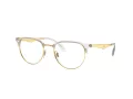 Ray-Ban Glasögon RX 6396 5762