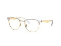 Ray-Ban Glasögon RX 6396 5762