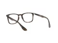 Ray-Ban Glasögon RX 7074 5365