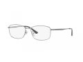 Ray-Ban Glasögon RX 8775D 1047