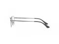Ray-Ban Glasögon RX 8775D 1047