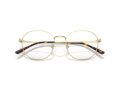 Ray-Ban Glasögon RX 8778D 1251