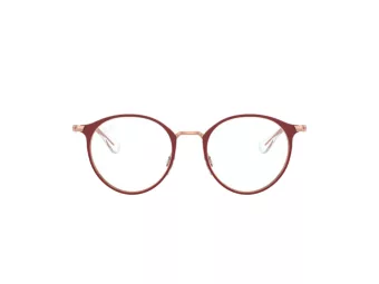 Ray-Ban Glasögon RY 1053 4077