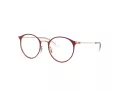 Ray-Ban Glasögon RY 1053 4077