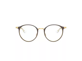 Ray-Ban Glasögon RY 1053 4078