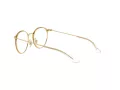 Ray-Ban Glasögon RY 1053 4078