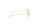Ray-Ban Glasögon RY 1053 4078