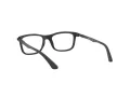 Ray-Ban Glasögon RY 1549 3633