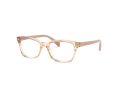 Ray-Ban Glasögon RY 1591 3809