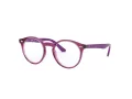 Ray-Ban Glasögon RY 1594 3813
