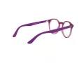 Ray-Ban Glasögon RY 1594 3813