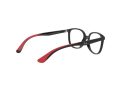 Ray-Ban Glasögon RY 1598 3831