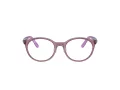Ray-Ban Glasögon RY 1625D 3909