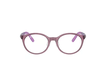 Ray-Ban Glasögon RY 1625D 3909