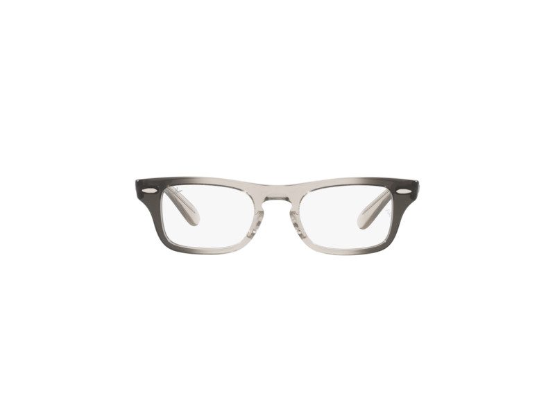 Ray-Ban Burbank Jr Glasögon RY 9083V 3889