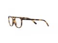 Ray-Ban Junior Elliot Glasögon RY 9097V 3685