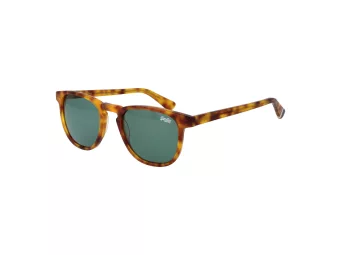 Superdry Solglasögon SDS Roku 170