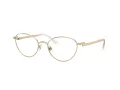 Swarovski Glasögon SK 1002 4004