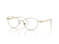 Swarovski Glasögon SK 1002 4004