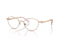 Swarovski Glasögon SK 1002 4014