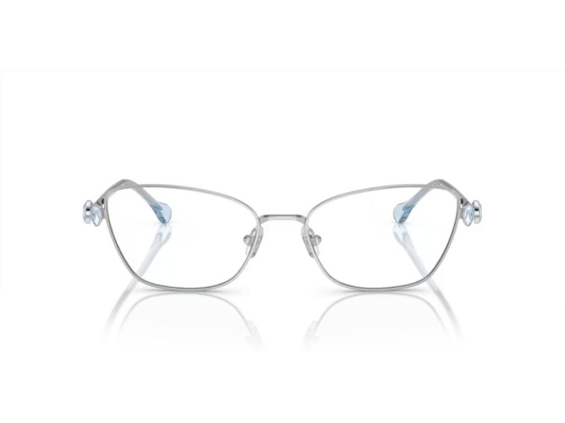 Swarovski Glasögon SK 1006 4020