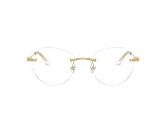 Swarovski Glasögon SK 1021 4004